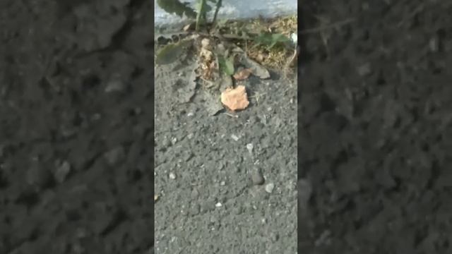 Ужик смотреть онлайн