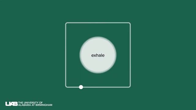 Square Breathing Visual