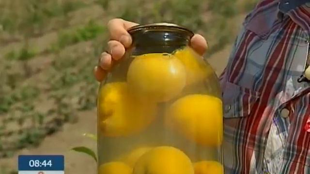 Удивительный фруктовый питомник под Киевом смотреть онлайн