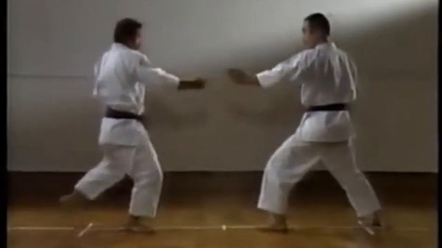 Шотокан Каратэ Кумитэ.Shotokan Karate.Kumite смотреть онлайн