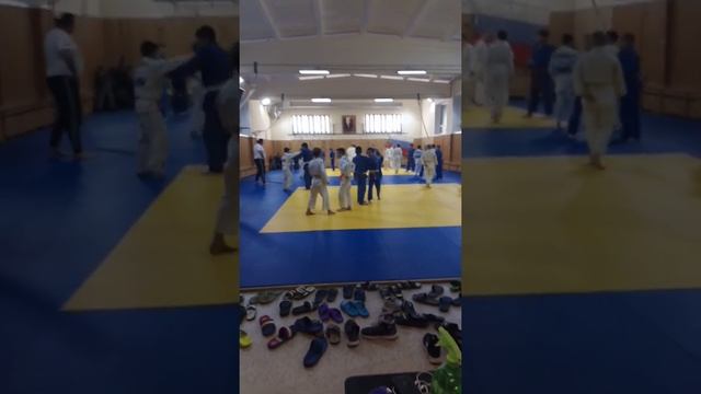 Дзюдо. Тренеровка смотреть онлайн