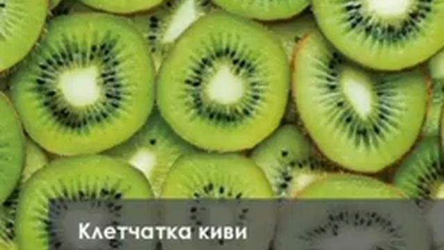 1 мая 2022 г. смотреть онлайн