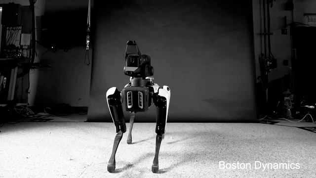 Boston Dynamics Robot Dog Dancing To Post Malone.