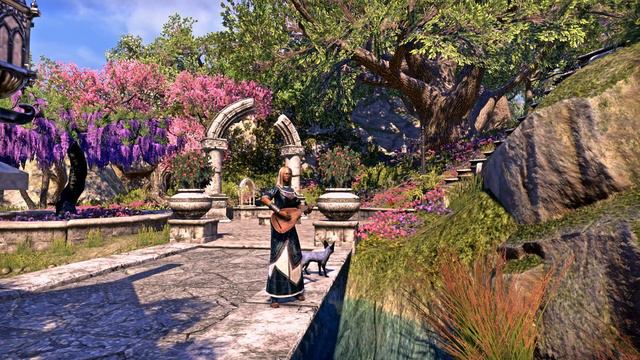 Thayla Darkmoor Bard of Tamriel смотреть онлайн