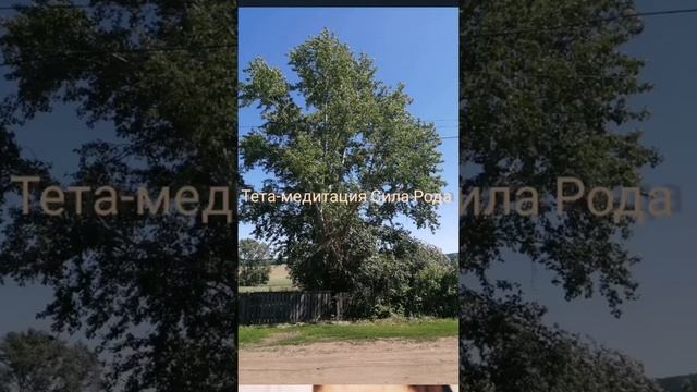 Тета-медитация Благословение Силой Рода, приятного вам прослушивания ? ❤️ ? смотреть онлайн