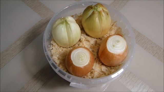 Репчатый лук на зелень - надрезать луковицы или нет? смотреть онлайн