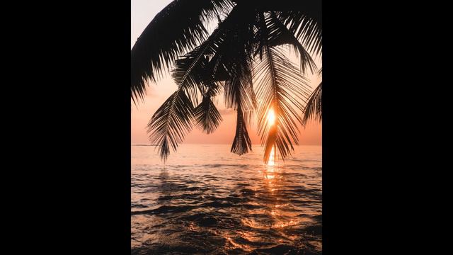 Yung Letix - Куда уходит лето