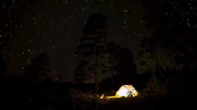 Звуки природы. Ночная атмосфера. Звуки костра, сверчков, звуки обитателей лесной природы HD смотреть онлайн