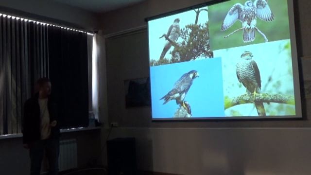 "Как устроены птицы?" смотреть онлайн