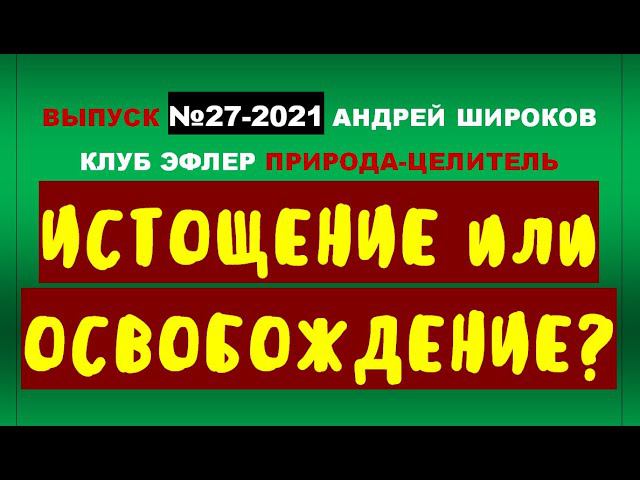 Потеря массы тела. Падение процента жиров. Истощение ли на самом деле? Инструменты для стабилизации. смотреть онлайн