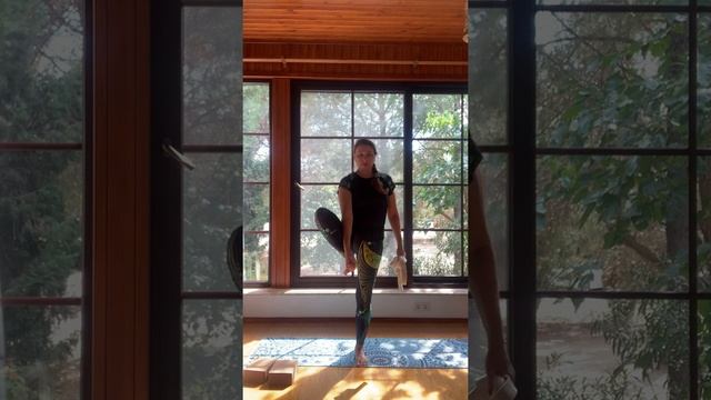 Стажировка Эфир 1 Лариса Авилова Шолпан смотреть онлайн