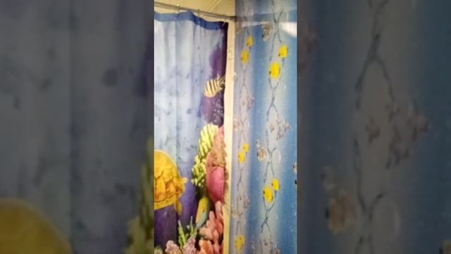 Душевая в бане (своими руками) смотреть онлайн