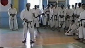 Семинар Хидетаки Нишиямы в Украине 1998 год - часть 2 (кихон)