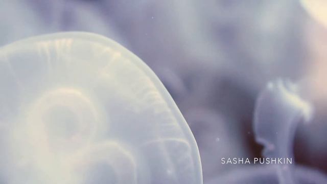Nocturne "Deep water". Op.1 Element 1 - Sasha Pushkin смотреть онлайн
