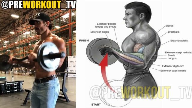 BICEPS WORKOUT FOR MASSIVE ARMS (100% RESULTS) ? EZ-BAR ONLY смотреть онлайн