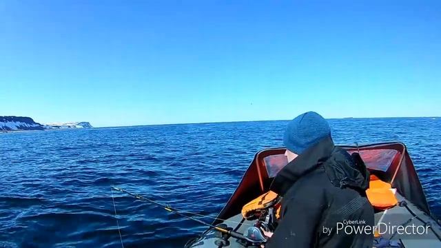 Майская тресочка и пикша. смотреть онлайн