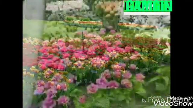 Красивый нашид 2019 на иранском смотреть онлайн