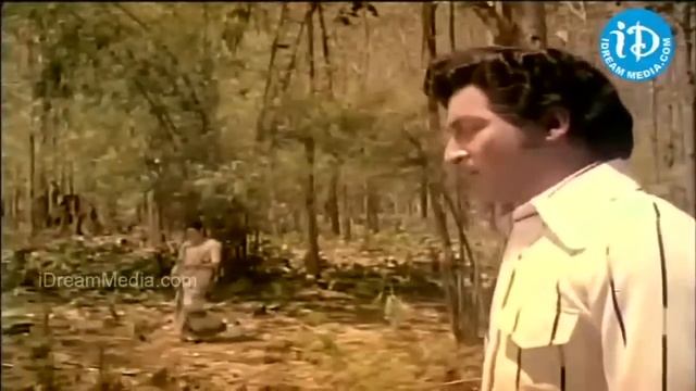 Komma Kommako Sannayi Song - Gorintaku Movie, Shobhan Babu, Sujatha, Savitri, Dasari Narayana Rao смотреть онлайн