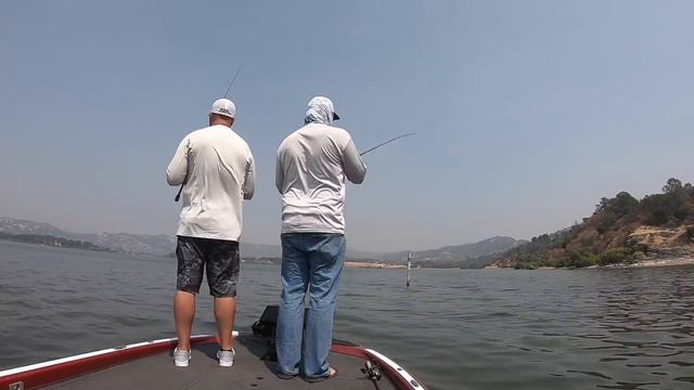 Deep Structure Vs. Shallow Grass : Late Summer Bass Fishing смотреть онлайн