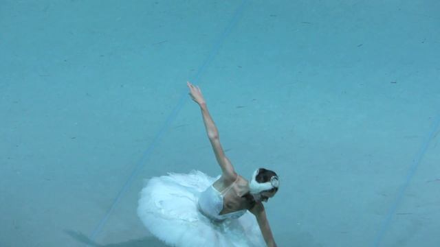 15/09/18 Andrea Lassakova debut in Swan Lake. Act I Odette Variation and coda смотреть онлайн