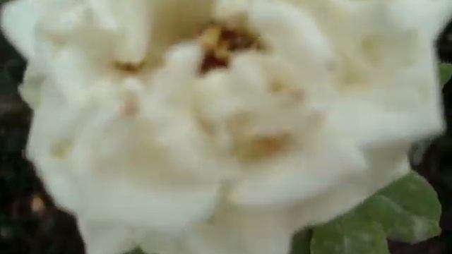 Строительные Решения