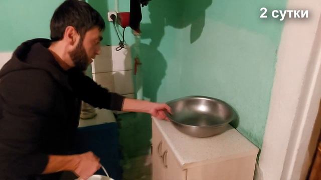Молодняк начал нестись/Проращиваем зерно смотреть онлайн