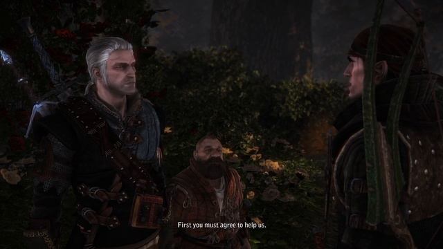 The Witcher 2 [#17] - Chapter 1 - At a Crossroads: Scoia'tael || Walkthrough смотреть онлайн