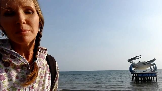 Кеп, Камбоджа - памятник голубому крабу, кэроб, а также дружба вьетнамцев и кхмеров навеки! смотреть онлайн