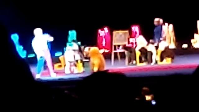 Собаки поют смотреть онлайн