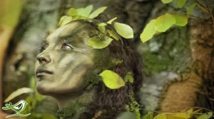 Расслабляющая Кельтская Музыка для Отдыха и Медитации | "Dance of Life"