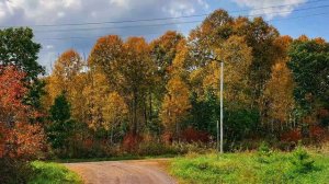 ОСЕННЯЯ СКАЗКА