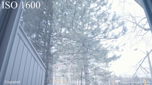 Ursa Mini Pro 4.6k G2 Dynamic Range Overview смотреть онлайн