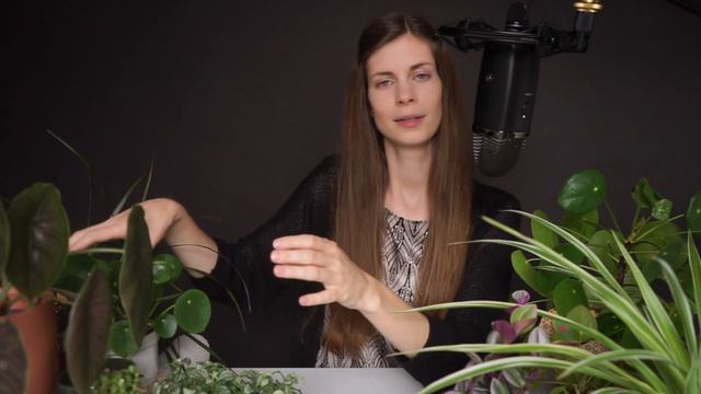 ASMR | planten update 🪴 (onderhoud, tips & weetjes) Vlaams fluisteren смотреть онлайн