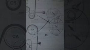 SKODA FELICIA 1.6; OCTAVIA 1.6 УСТАНОВКА ЗАЖИГАНИЯ МЕТКИ ГРМ