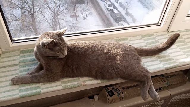 Я на солнышке лежу.... смотреть онлайн