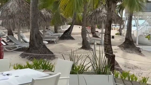 Catalonia Grand Dominikus 4* и Catalonia La Romana 5* - свежий обзор отелей на Карибском море смотреть онлайн