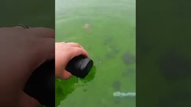 Anker Soundcore Mini 2 Dunk Test смотреть онлайн