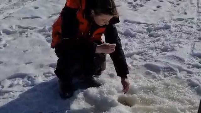 На Рене и девочки ловят... смотреть онлайн