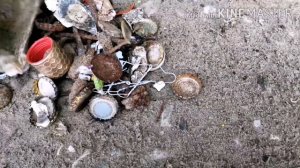 Копаем на пляже, чистим от золота и прочего мусора