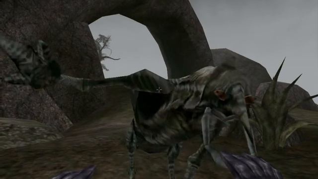 Morrowind 37 (Katana Too Much?)