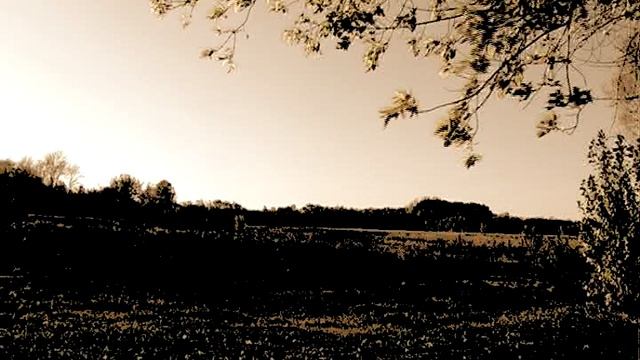 [Свидетельство] По ту сторону смотреть онлайн