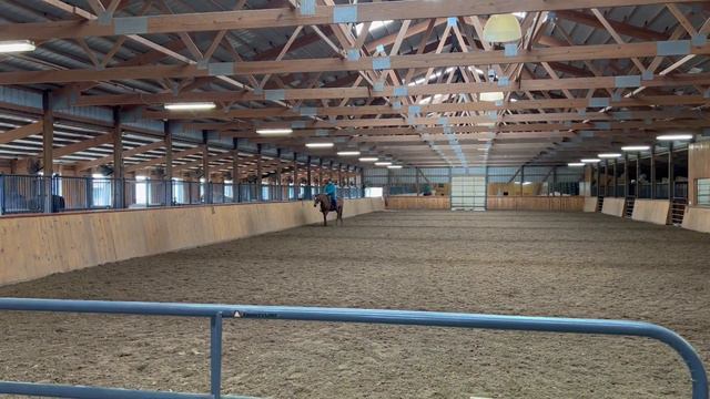 It's a Simple Change into Spring Western Dressage Basic Test 4 смотреть онлайн