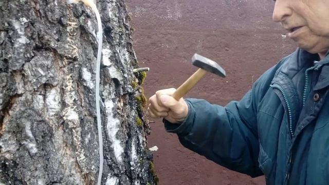 Забрали внуков! Весна кругом вода! Будни в деревне! Моя семья! Счастье в мелочах! смотреть онлайн