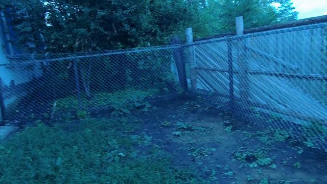 Вычистила палисадник. Получилось замечательно.