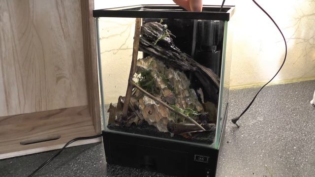 Blacwater Biotope -Nanoscape! Low Tech Tutroial! смотреть онлайн