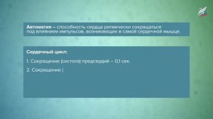 Органы кровообращения. Работа сердца