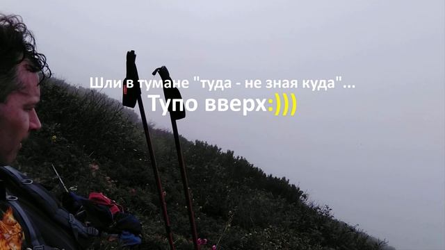 Экскурсия на Вачкажец Камчатка в 4K смотреть онлайн