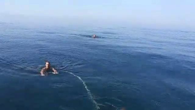 Адлер рыбалка 2017(4) смотреть онлайн