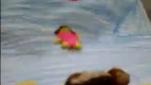 surfer championship смотреть онлайн