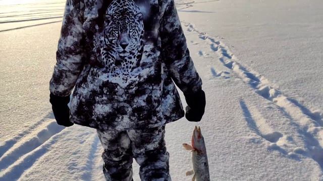 Оз.Мурлюга.Как мы ездили снимать самоловки.Поймали щуку. смотреть онлайн